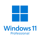 Windows 11 Professionnel