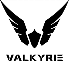 logo de la marque Valkyrie