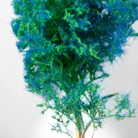 Photo de Ak Interactive Dioramas - Blue Green Fantasy Bushes 1/35