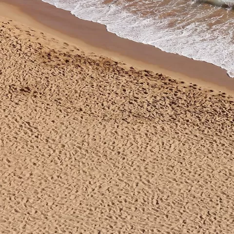Photo de Ak Interactive Dioramas - Terrains Beach Sand (250 ml) (Base Acrylique)