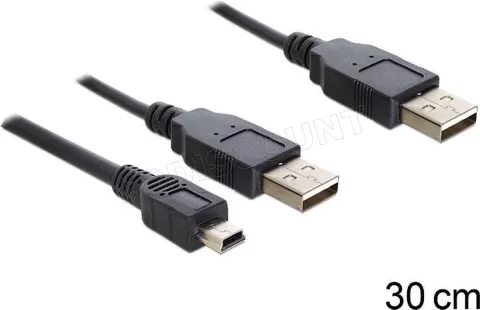 Photo de Cable Delock 2 x USB vers mini USB (5 pins) 0,3m (Noir)
