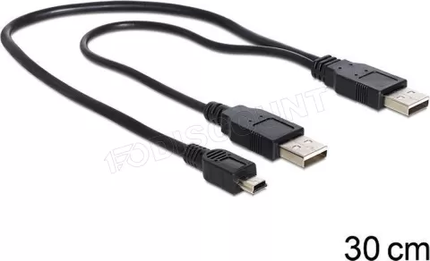 Photo de Cable Delock 2 x USB vers mini USB (5 pins) 0,3m (Noir)