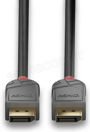 Photo de Cable DisplayPort 1.4 Lindy Anthra Line 5m M/M (Gris/Rouge)