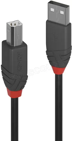 Photo de Cable Lindy Anthra Line USB 2.0 A/B M/M 1m (Gris)