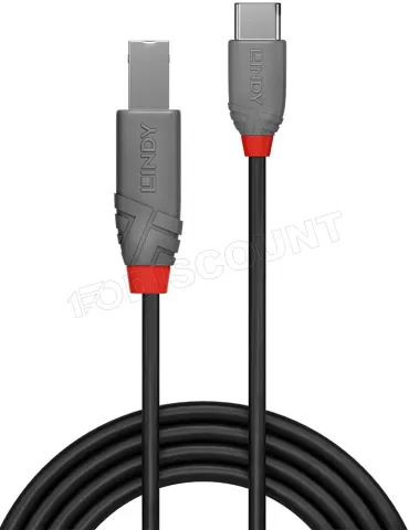 Photo de Cable Lindy Anthra Line USB 2.0 C/B M/M 3m (Gris)