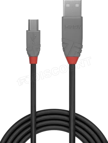 Photo de Cable Lindy USB 2.0 type A - Mini B M/M 2m (Gris)