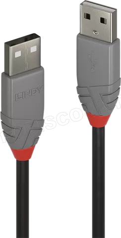 Photo de Cable Lindy USB 2.0 type A M/M 50cm (Gris)