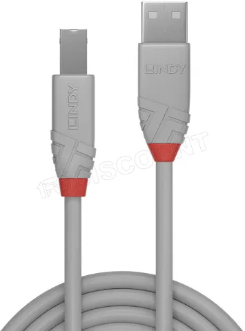 Photo de Cable Lindy USB 2.0 vers type B M/M 2m (Gris)