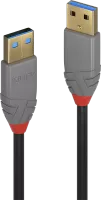 Photo de Cable Lindy USB 3.2 type A M/M 0,5m (Gris)