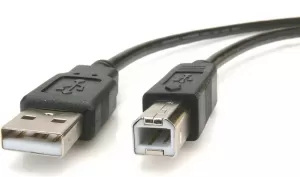 Photo de Cable USB 2.0 Gembird type AB M/M - 1,80m (Noir)