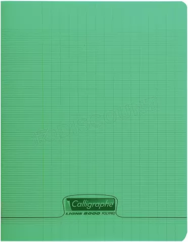 Photo de Cahier Calligraphe Grands Carreaux 48 pages 90gr Couverture Polypro (17x22cm) (Vert)