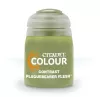 Photo de Games Workshop Plaguebearer Flesh