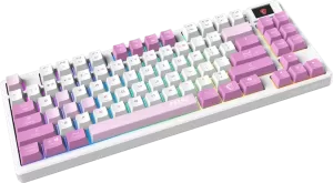 Photo de MSI Forge GK600 TKL Violet
