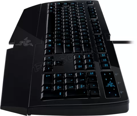 Photo de Clavier USB Gamer Razer Lycosa Mirror