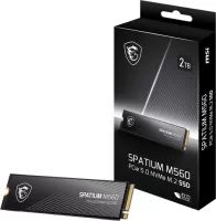 Photo de MSI Spatium M560 1To