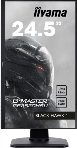Photo de Ecran LED 25" Iiyama G-Master Black Hawk GB2530HSU-B1 Full HD (Noir)