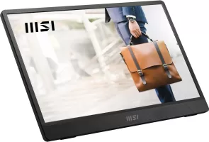 Photo de MSI Pro MP161 E2 Gris