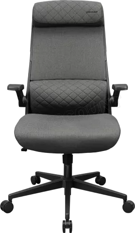 Photo de Fauteuil Cougar Stryder (Gris)
