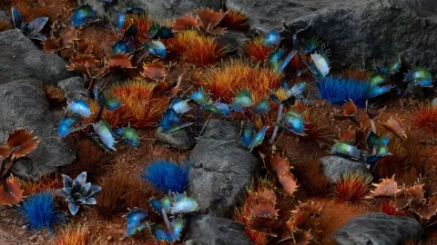Photo de Gamers Grass - Laser Plants : Alien Flytrap