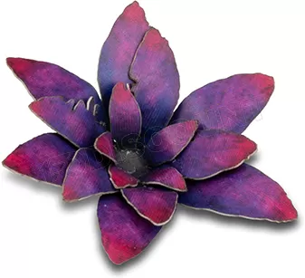 Photo de Gamers Grass - Laser Plants : Alien Rosette