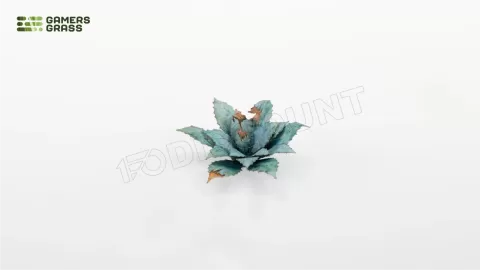 Photo de Gamers Grass - Laser Plants : Blue Agave
