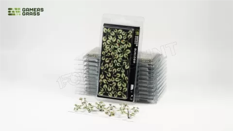 Photo de Gamers Grass - Laser Plants : Bugloss