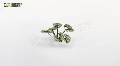 Photo de Gamers Grass - Laser Plants : Bugloss
