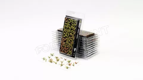 Photo de Gamers Grass - Laser Plants : Deer Fern