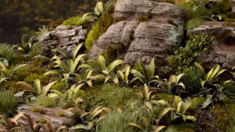 Photo de Gamers Grass - Laser Plants : Deer Fern
