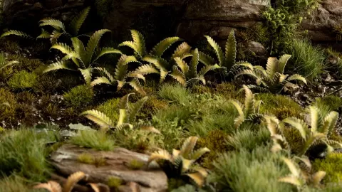 Photo de Gamers Grass - Laser Plants : Deer Fern