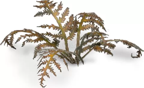Photo de Gamers Grass - Laser Plants : Dry Bracken