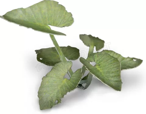 Photo de Gamers Grass - Laser Plants : Elephant Ear