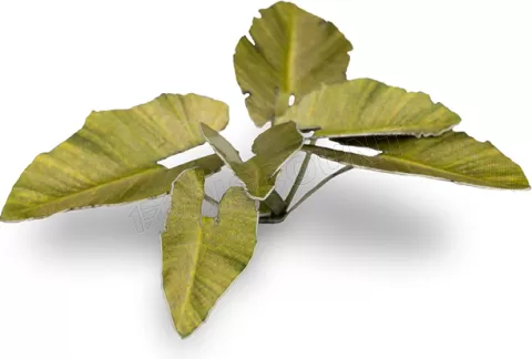 Photo de Gamers Grass - Laser Plants : Elephant Ear