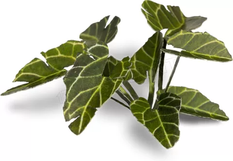 Photo de Gamers Grass - Laser Plants : Elephant Ear