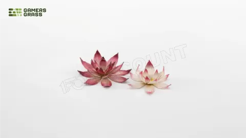 Photo de Gamers Grass - Laser Plants : Lotus Flower