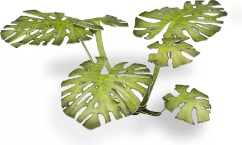 Photo de Gamers Grass - Laser Plants : Monstera