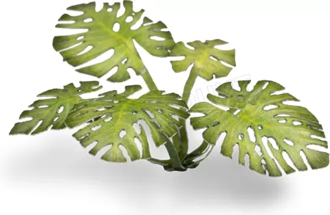 Photo de Gamers Grass - Laser Plants : Monstera
