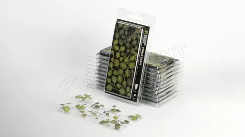 Photo de Gamers Grass - Laser Plants : Monstera