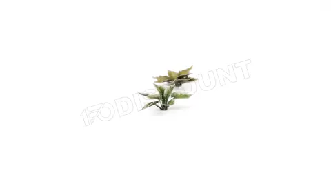 Photo de Gamers Grass - Laser Plants : Plantain Lily