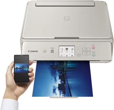 Photo de Imprimante Canon Pixma TS5053 Wifi Multifonctions (Silver) (recto verso)