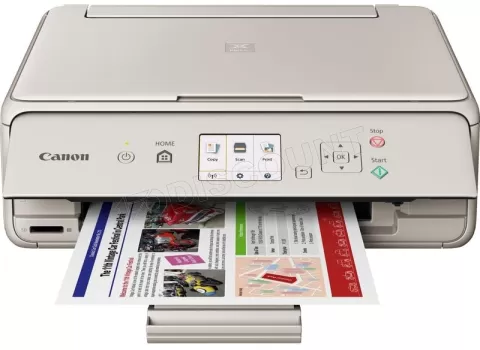 Photo de Imprimante Canon Pixma TS5053 Wifi Multifonctions (Silver) (recto verso)