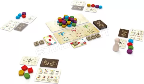 Photo de Jeu - Ritual