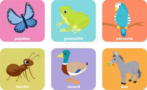 Photo de Loto Animaux familiers