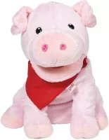 Photo de Marionnette Goki Cochon Snellly