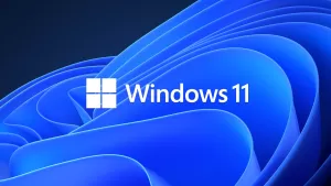 Photo de Système d'Exploitation Microsoft Windows 11 Famille