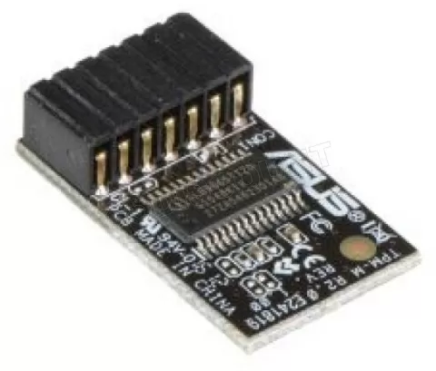 Photo de Module ASUS TPM-M R2.0