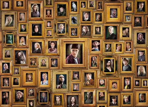 Photo de Puzzle Clementoni - Impossible puzzle : Harry Potter (1000 pièces)