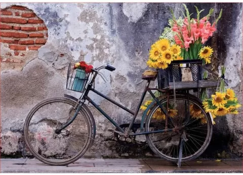 Photo de Puzzle Educa - Bicyclette avec des fleurs (500 pièces)