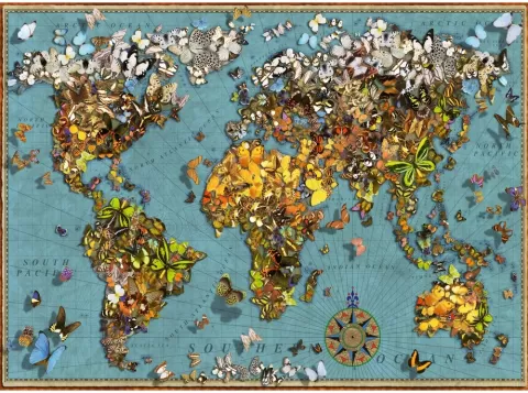 Photo de Puzzle Ravensburger - MappeMonde de Papillons (500 pièces)