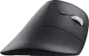 Image secondaire du produit